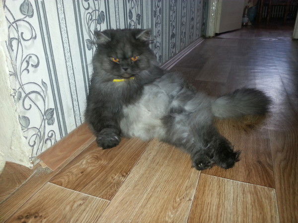 Сергей Поляков