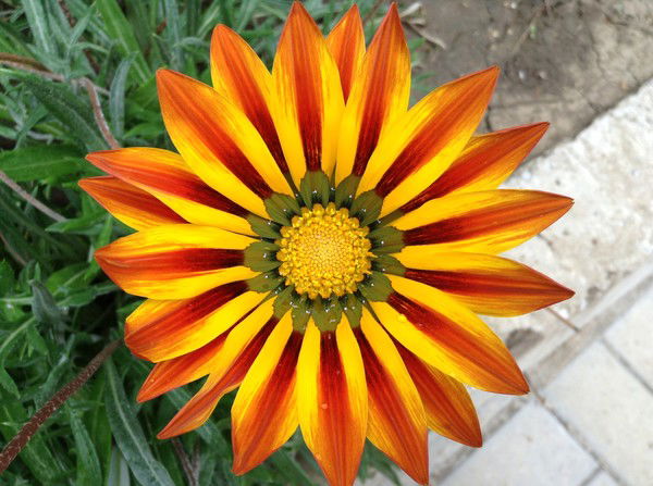 Любовь Кубкина