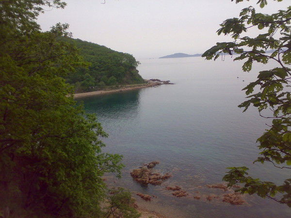 Ксения Андреева