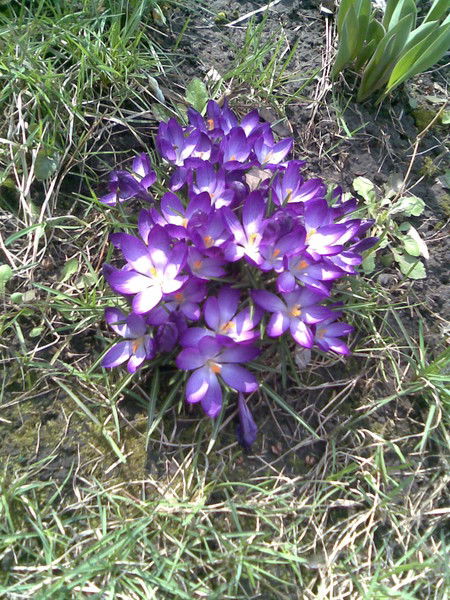 Наталия Наталия