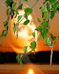 Наталия Мекельбург