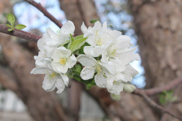 Жанна Аманбаева