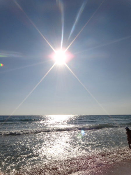 Виктoрия Царенко