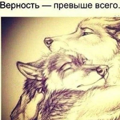 Андрей Остапчук