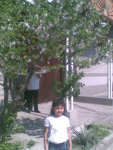 Абдусамад Каримов