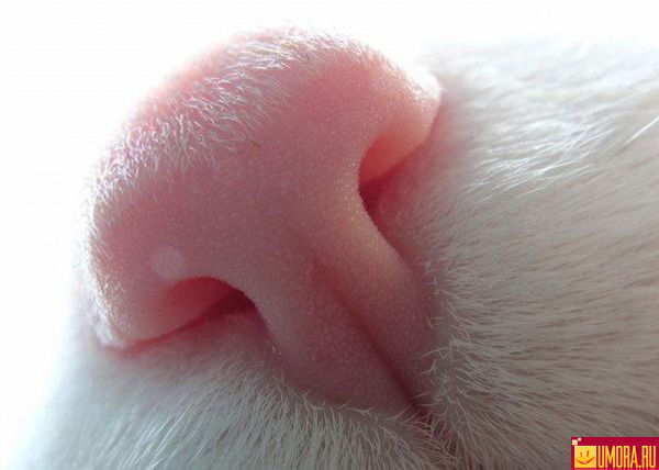 Юлия Иванова