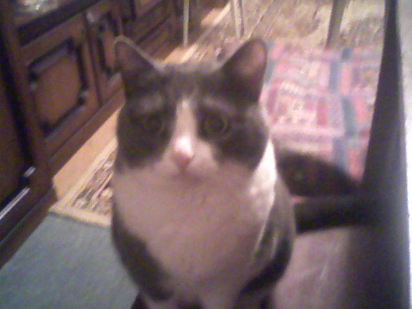 Марина Фомичева