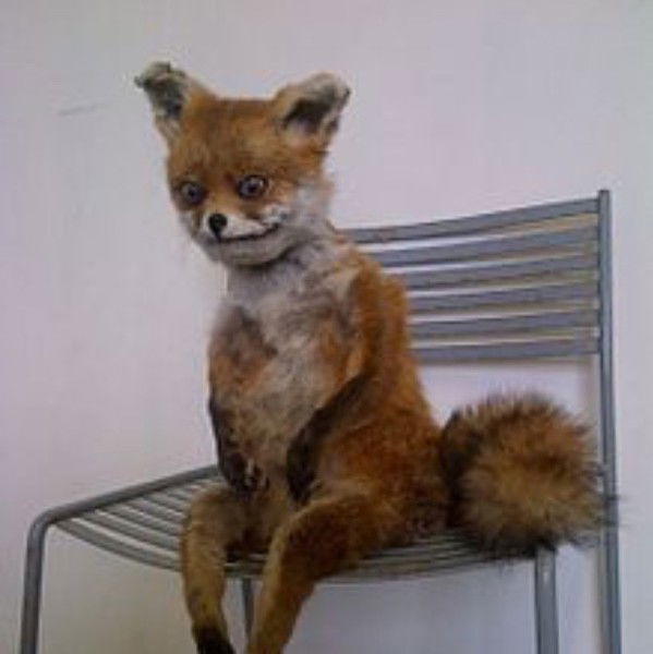 Диана Бельская