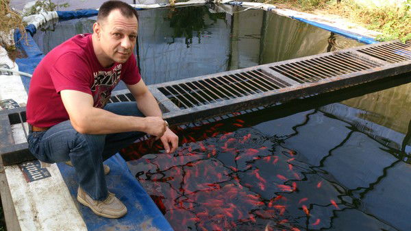 Виктор Чаглей