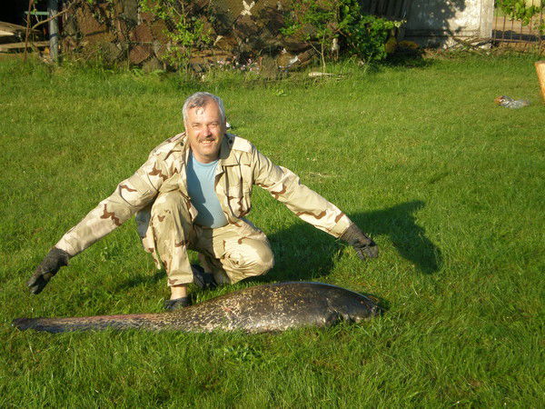 Владимир Бабкин