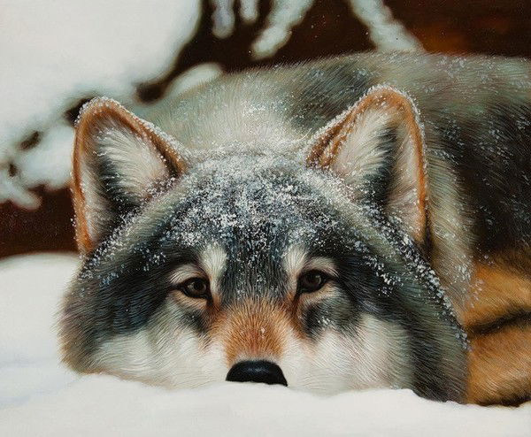 Марина Глущенко