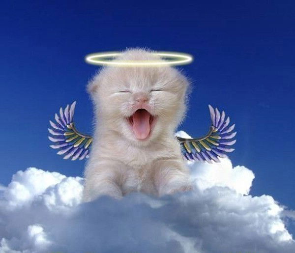 Ольга Смирнова