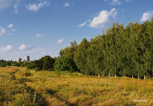 Акимат Чаглинский