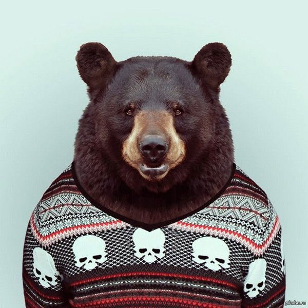 Георгий Ткачук