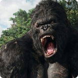 Валерий Васильев