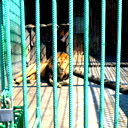 Руслан Галиев