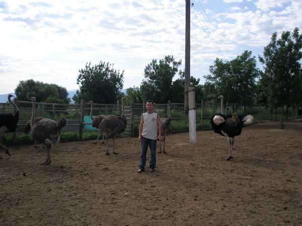 Курмангазы Бегжигитов