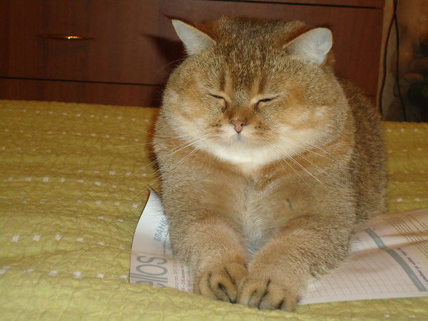 Наталья Смирнова