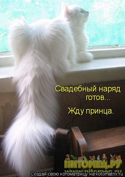 Ирина Прос-Ва