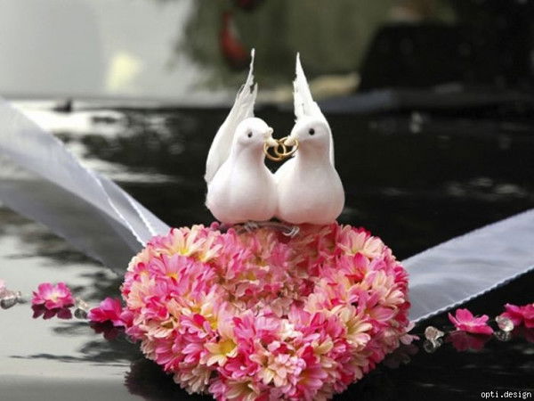 Дарья Сергеевна