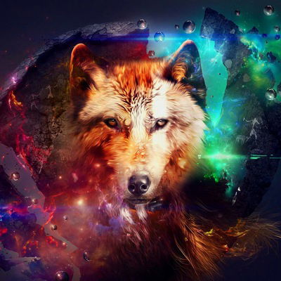 Кирилл Данюков