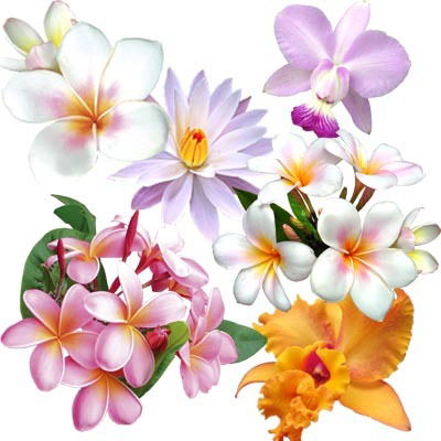 Елена Найденко