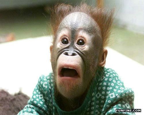 Денис Горваль