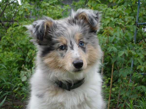 Марина Никифорова