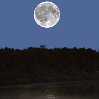 Игорь Федулов