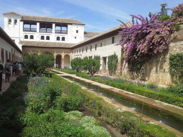 Ольга Богданова