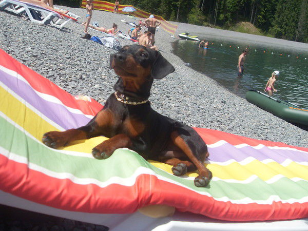 Віталій Етрік