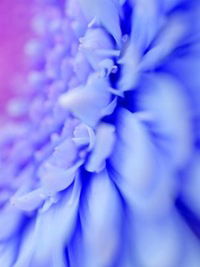 София Черникова