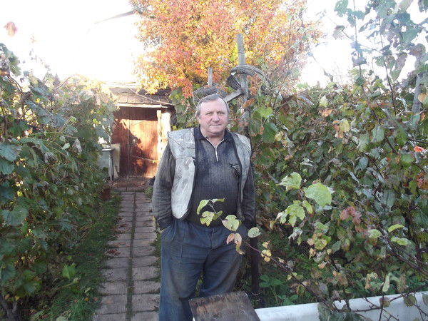 Владимир Цисильский