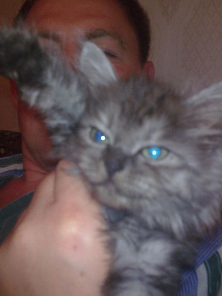 Тата Мартюшева