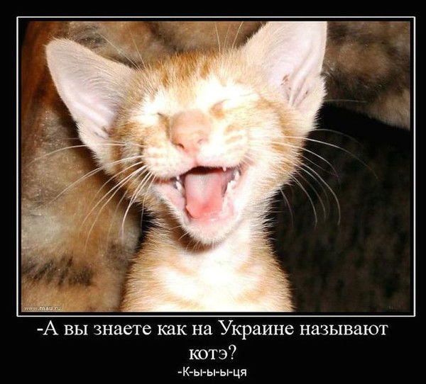 Татьяна Чернова