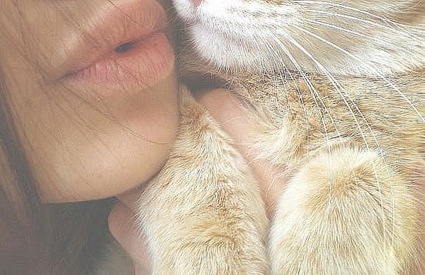 Светлана Викулова