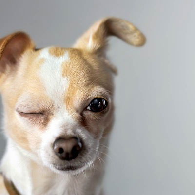 Екатерина Недопёкина