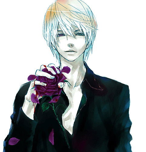 Sdadasdadad 1231312313