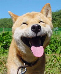 Вячеслав Фролов