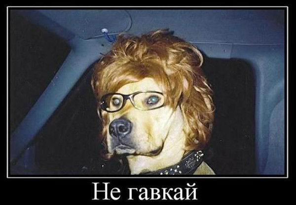 Татьяна Стаценко