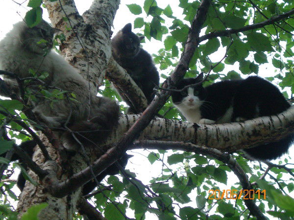 Верочка Закутаева