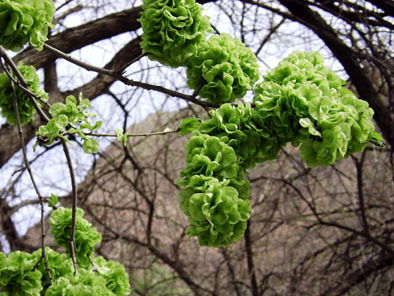 Камил Каримов