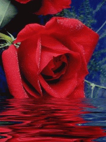 Людмила Гичева