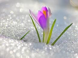 Антон Клеменков