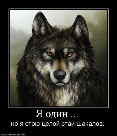 Черный Нарцисс