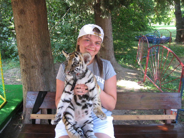 Елена Чаунина