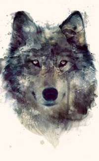 Лёха Крукевич