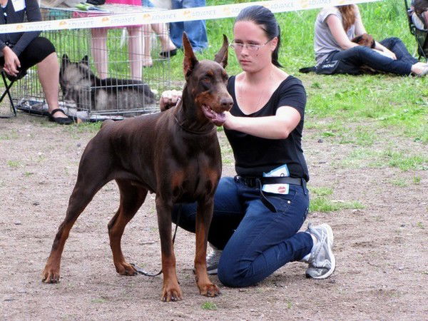 Анна Афанасьева