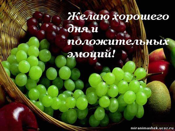 Наталья Юрьевна Андреева