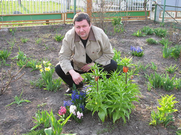 Николай Remmel